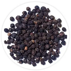 Black Pepper