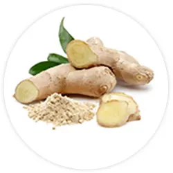Ginger 