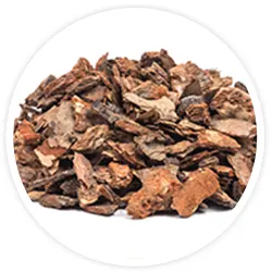 Pine Bark Extract